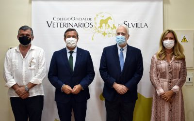 El Colegio de Veterinarios de Sevilla y la Fundación San Pablo Andalucía-CEU firman un Convenio Marco para la organización de un curso de experto sobre Gestión y Dirección de Centros Veterinarios