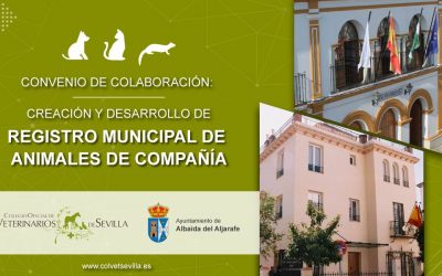 El Ayuntamiento de Albaida del Aljarafe firma un convenio con el Colegio de Veterinarios de Sevilla para la identificación de animales de compañía