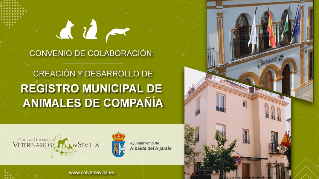 El Ayuntamiento de Albaida del Aljarafe firma un convenio con el Colegio de Veterinarios de Sevilla para la identificación de animales de compañía