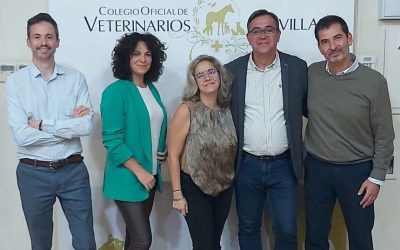 Los Veterinarios de Sevilla aprenden sobre nuevas terapias de cicatrización de heridas con Vetoquinol y el ICOVS