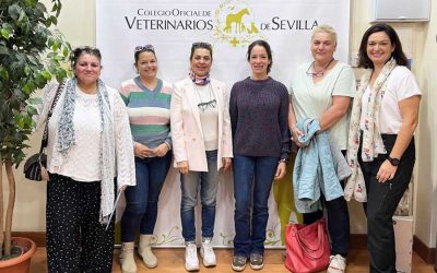 Inauguración del Grupo de trabajo de Medicina Felina de Veterinarios colegiados en el ICOV de Sevilla