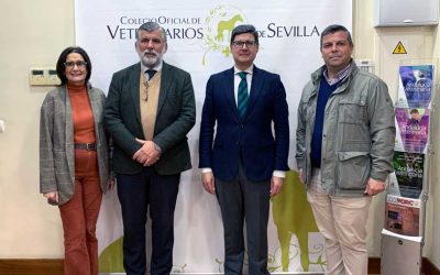 El Distrito Bellavista-La Palmera visita el Colegio de Veterinarios de Sevilla para establecer puntos comunes de colaboración