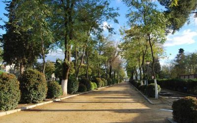 El Colegio de Veterinarios de Sevilla visita las colonias felinas de Utrera