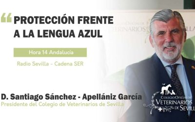 “La importancia de la desinsectación para controlar la Lengua Azul”. D. Santiago Sánchez-Apellániz, en Radio Sevilla