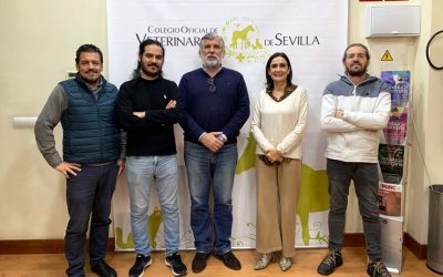 El Ayuntamiento de Mairena del Aljarafe firma un convenio con el ICOVS para la Gestión ética de Colonias Felinas urbanas