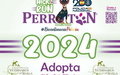 Perrotón Madrid 2024: tu dorsal personalizado como veterinario del Colegio de Veterinarios de Sevilla