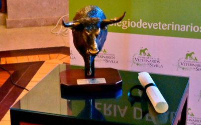 “Ilusión”, de la ganadería Jandilla, premiado por el Colegio de Veterinarios de Sevilla