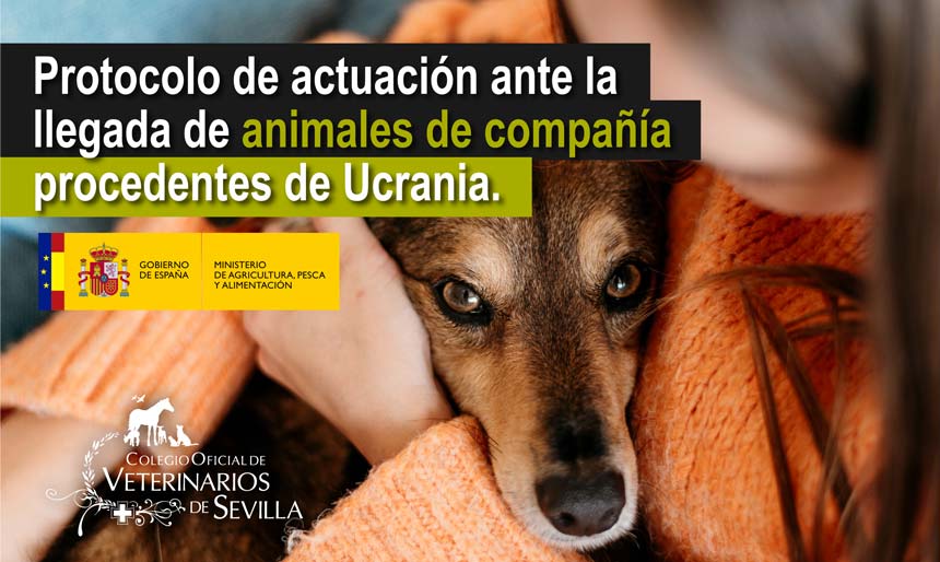 Protocolo actuaciones llegada animales de compañía procedentes de Ucrania