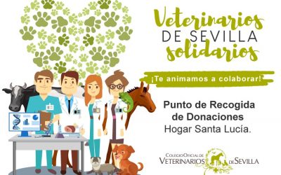 Punto de recogida solidario para el Hogar Santa Isabel en la sede del ICOV de Sevilla