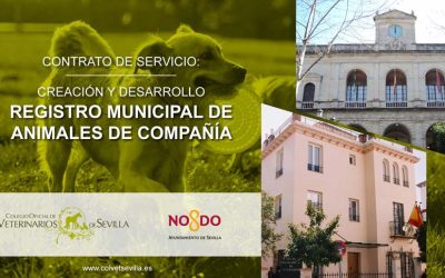 El Ayuntamiento de Sevilla firma un Contrato de Servicios con el Colegio de Veterinarios de Sevilla para la elaboración del Registro Municipal de Animales de Compañía