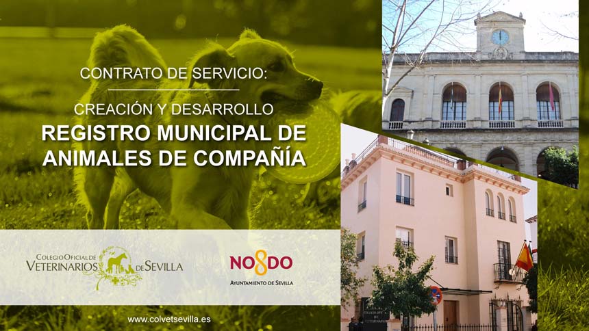 El Ayuntamiento de Sevilla firma un Contrato de Servicios con el Colegio de Veterinarios de Sevilla para la elaboración del Registro Municipal de Animales de Compañía