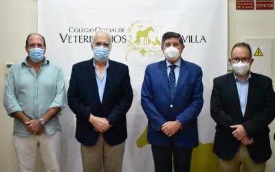 El Colegio Oficial de Veterinarios se reúne con el Colegio Oficial de Farmacéuticos de Sevilla para abordar varias temáticas de interés común