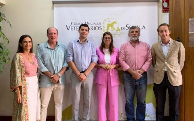 El Colegio de Veterinarios de Sevilla nos reunimos con la nueva Delegada de Consumo, Salud, Cementerio y Protección Animal del Ayuntamiento de Sevilla para valorar la reanudación de las relaciones institucionales