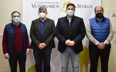 El Colegio Oficial de Veterinarios se reúne con representantes del Grupo Popular del Ayuntamiento de Sevilla