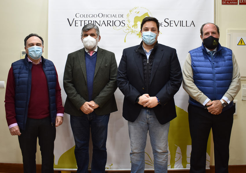 El Colegio Oficial de Veterinarios se reúne con representantes del Grupo Popular del Ayuntamiento de Sevilla