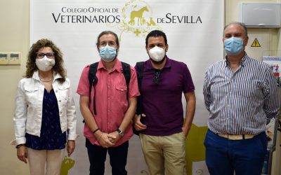 El Ayuntamiento de Mairena del Aljarafe visita la sede colegial para conocer el protocolo de gestión y control de colonias felinas del ICOVS