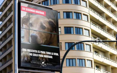 “Su Segunda Navidad: una mascota es para toda la vida, no solo para Navidad”