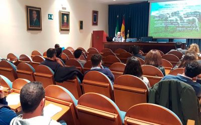 Celebrado el Curso Veterinarios de Directorio  en el Colegio de Veterinarios de Sevilla