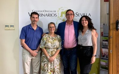 Gran éxito de la Conferencia sobre piodermas caninas y felinas impartida por José Ignacio Gutiérrez en el Colegio de Veterinarios de Sevilla