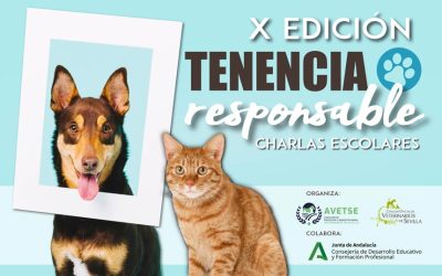 X Temporada de Charlas de “Tenencia Responsable de Animales” organizadas por la Asociación “Veterinarios de Sevilla” (AVETSE).  Curso 2024/25